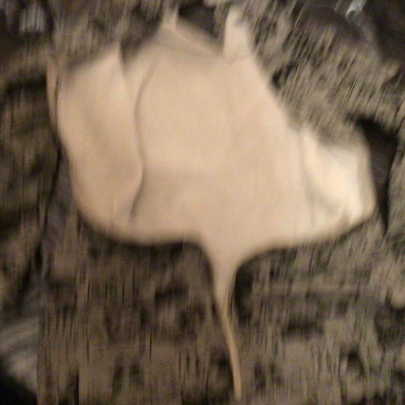 Girls Woman REVERSIBLE hoodsy One side Panda pouch/zip up jacket with2sided hood - Picture 5 of 6